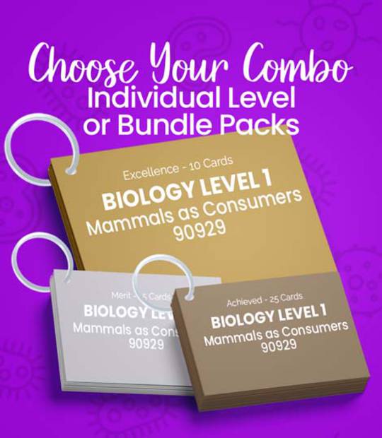 Level 1 Biology - Mammals as Consumers 90929